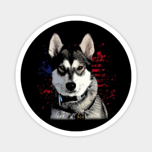 American USA Flag Husky Love, Trendy Tee for Dog Devotees Magnet